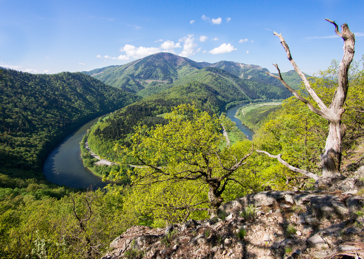 Kliknij obrazek, aby uzyskać większą wersję

Nazwa:	Fatra10Olek-11.JPG
Wyświetleń:	1463
Rozmiar:	744,3 KB
ID:	174220