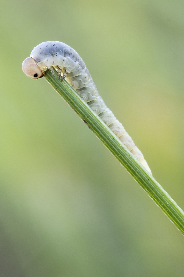 Kliknij obrazek, aby uzyskać większą wersję

Nazwa:	Y0006697.jpg
Wyświetleń:	200
Rozmiar:	329,7 KB
ID:	174250