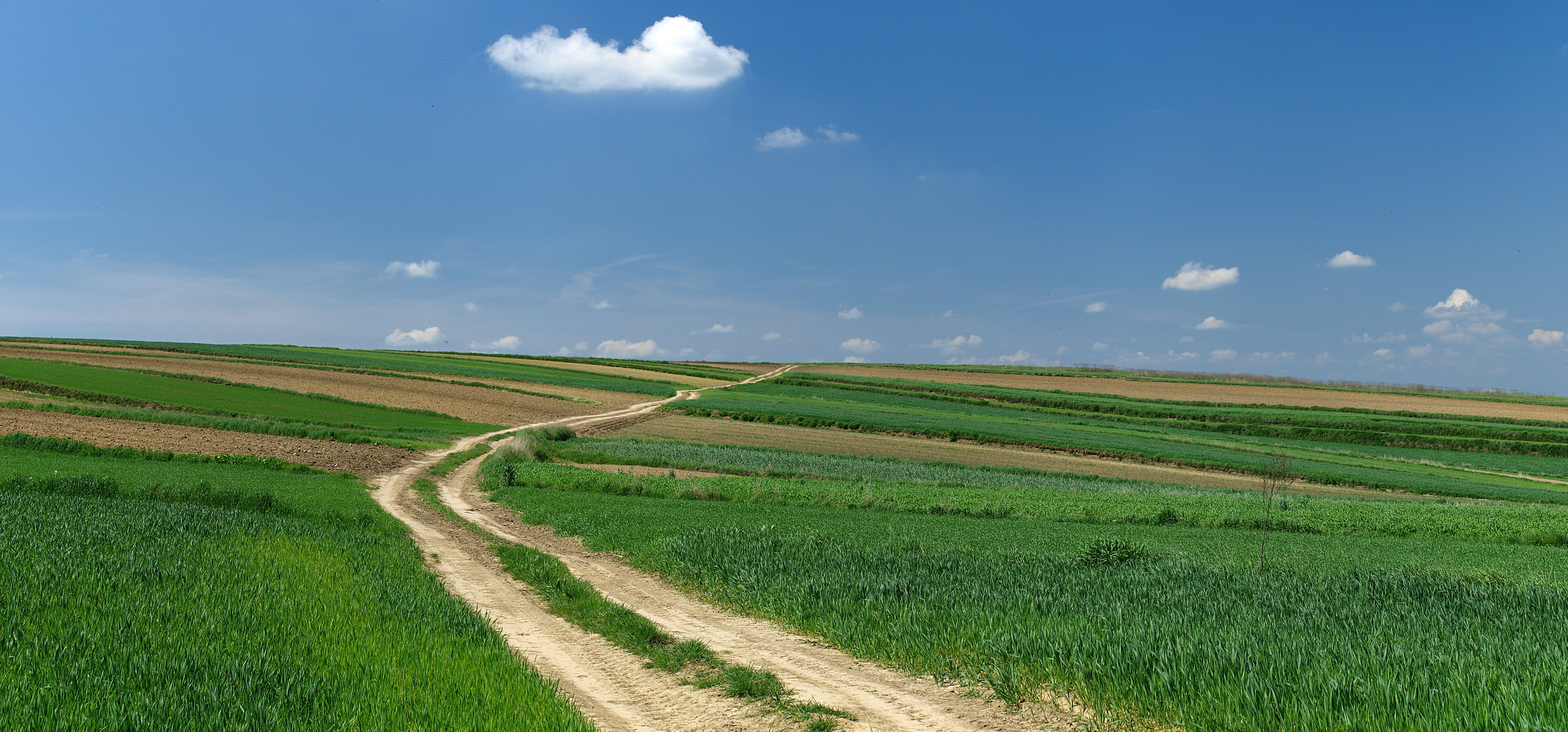 Kliknij obrazek, aby uzyskać większą wersję

Nazwa:	12052016_KK127004._stitch.1.jpg
Wyświetleń:	177
Rozmiar:	2,81 MB
ID:	174325