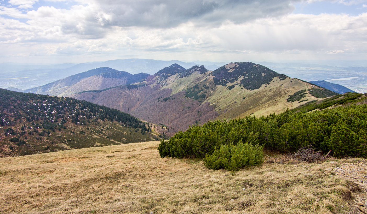 Kliknij obrazek, aby uzyskać większą wersję

Nazwa:	Ftra4Olek-4.JPG
Wyświetleń:	845
Rozmiar:	806,3 KB
ID:	174423