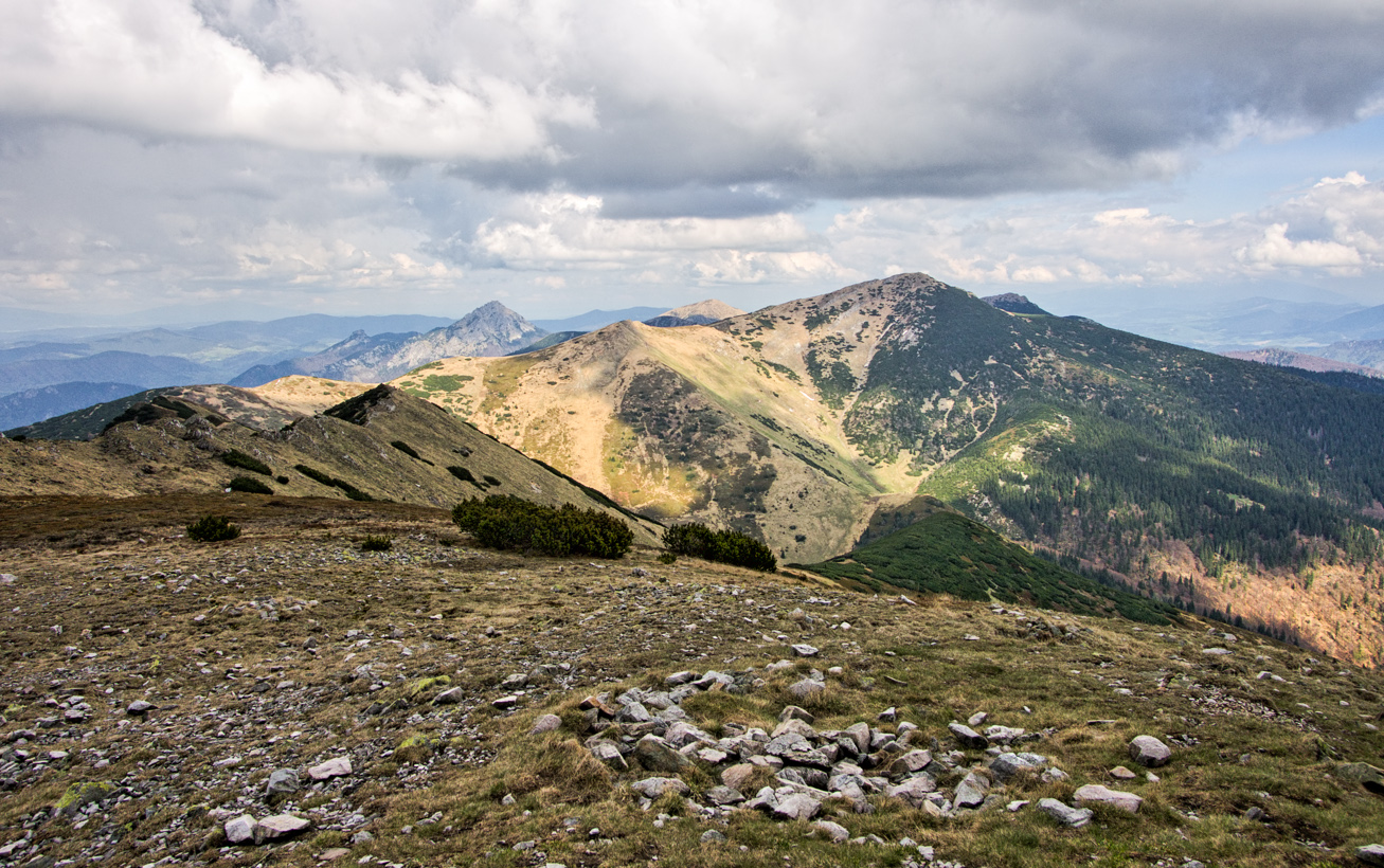 Kliknij obrazek, aby uzyskać większą wersję

Nazwa:	Ftra4Olek-5.JPG
Wyświetleń:	864
Rozmiar:	693,9 KB
ID:	174424