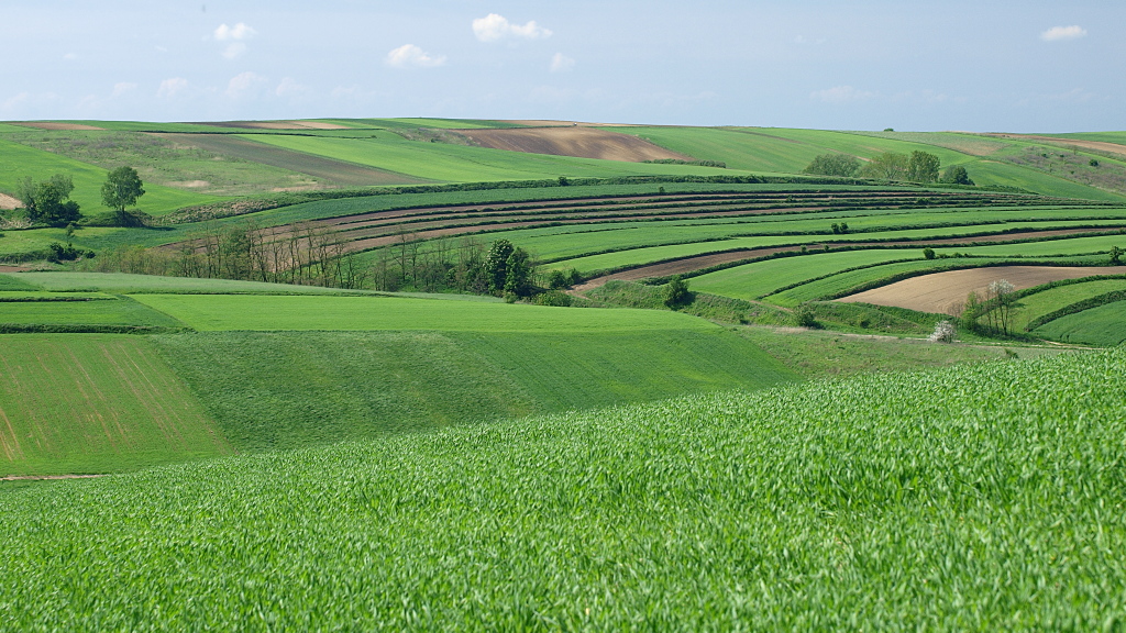 Kliknij obrazek, aby uzyskać większą wersję

Nazwa:	12052016_KK126975.1.1.jpg
Wyświetleń:	140
Rozmiar:	458,9 KB
ID:	174532
