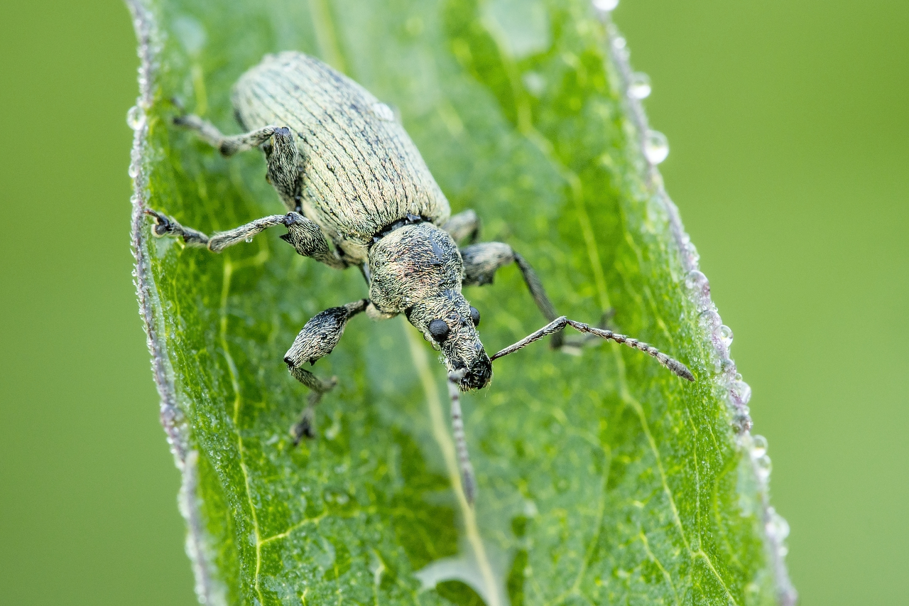 Kliknij obrazek, aby uzyskać większą wersję

Nazwa:	Y0006895.jpg
Wyświetleń:	178
Rozmiar:	883,2 KB
ID:	174541