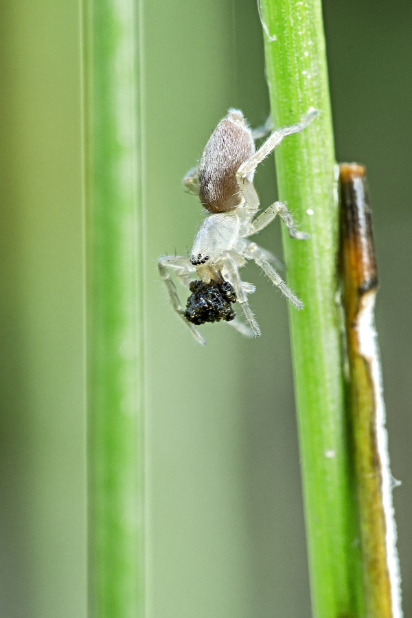 Kliknij obrazek, aby uzyskać większą wersję

Nazwa:	Y0006921.jpg
Wyświetleń:	197
Rozmiar:	392,0 KB
ID:	174543