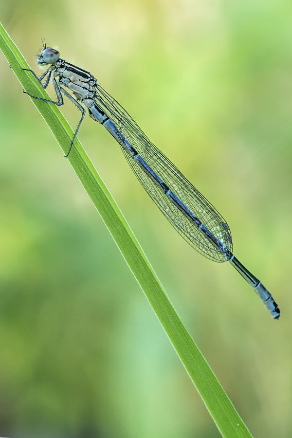 Kliknij obrazek, aby uzyskać większą wersję

Nazwa:	Y0006931.jpg
Wyświetleń:	190
Rozmiar:	535,6 KB
ID:	174544