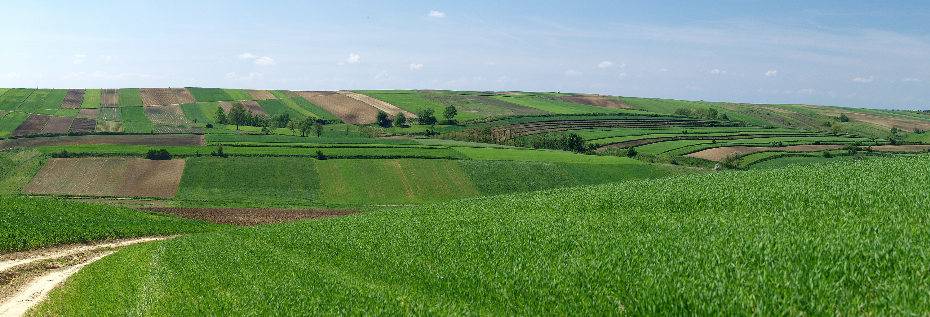 Kliknij obrazek, aby uzyskać większą wersję

Nazwa:	12052016_KK126976._stitch.1.jpg
Wyświetleń:	137
Rozmiar:	1,89 MB
ID:	174545