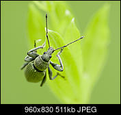 Kliknij obrazek, aby uzyskać większą wersję

Nazwa:	P1060978.jpg
Wyświetleń:	73
Rozmiar:	511,2 KB
ID:	174557