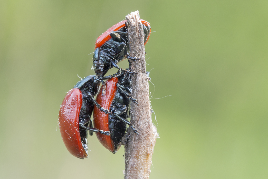 Kliknij obrazek, aby uzyskać większą wersję

Nazwa:	Y0007256.jpg
Wyświetleń:	242
Rozmiar:	582,3 KB
ID:	174641