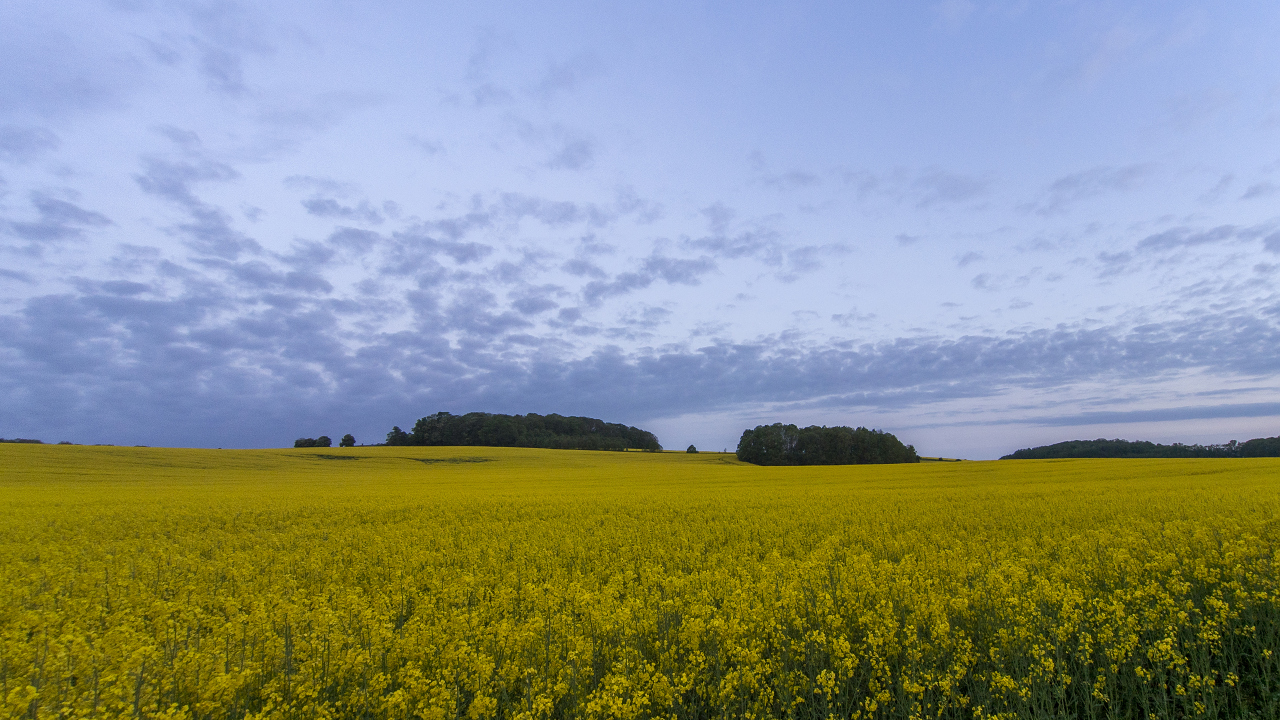 Kliknij obrazek, aby uzyskać większą wersję

Nazwa:	Y0007236_stitch.jpg
Wyświetleń:	167
Rozmiar:	818,2 KB
ID:	174660