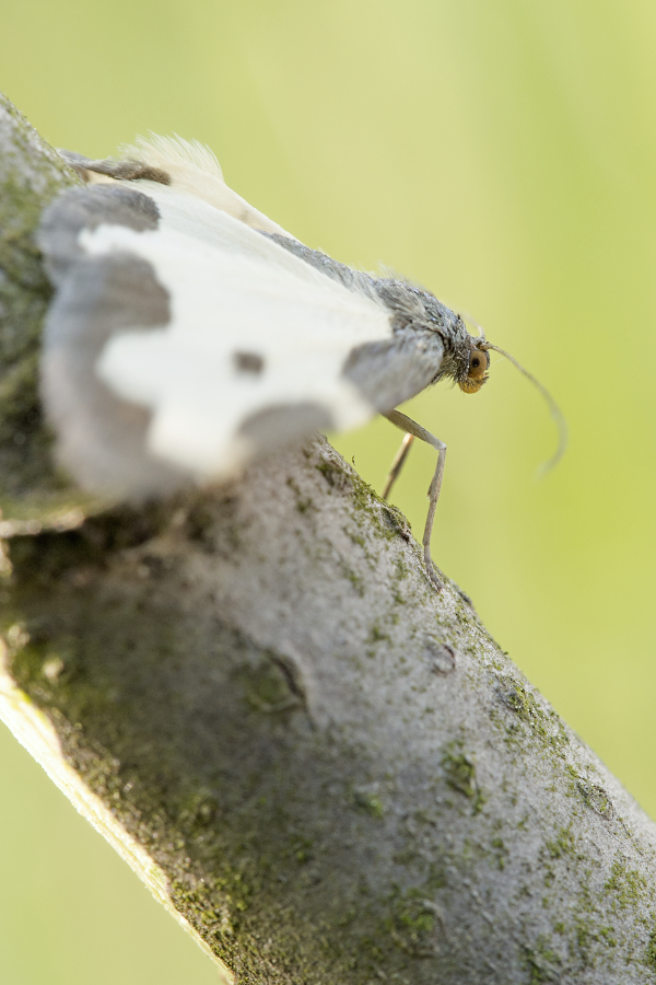 Kliknij obrazek, aby uzyskać większą wersję

Nazwa:	Y0007304.jpg
Wyświetleń:	446
Rozmiar:	378,4 KB
ID:	174679