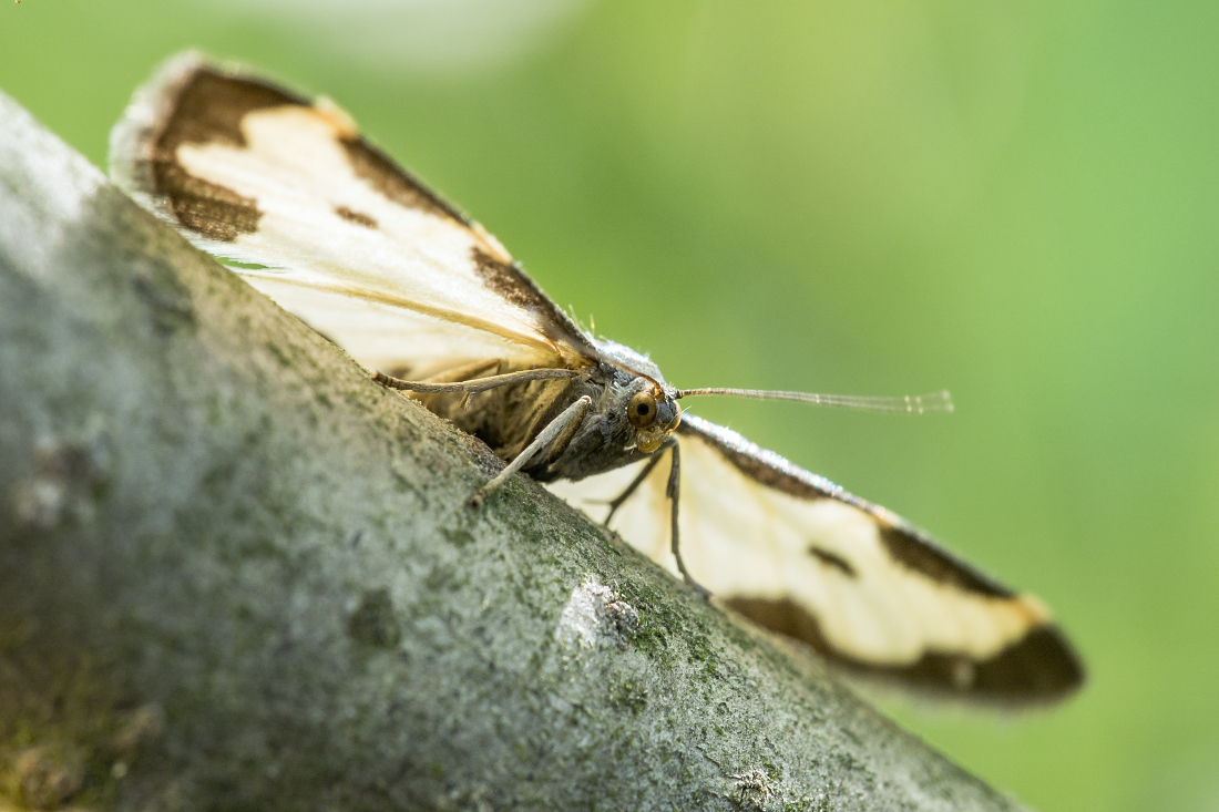 Kliknij obrazek, aby uzyskać większą wersję

Nazwa:	Y0007338.jpg
Wyświetleń:	442
Rozmiar:	583,8 KB
ID:	174681