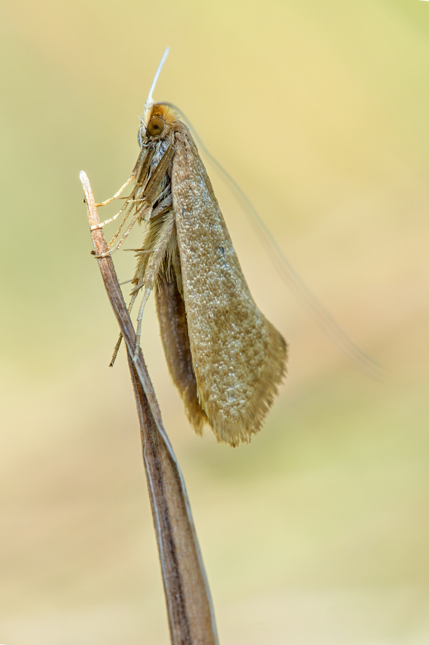 Kliknij obrazek, aby uzyskać większą wersję

Nazwa:	Y0007356.jpg
Wyświetleń:	456
Rozmiar:	483,6 KB
ID:	174682