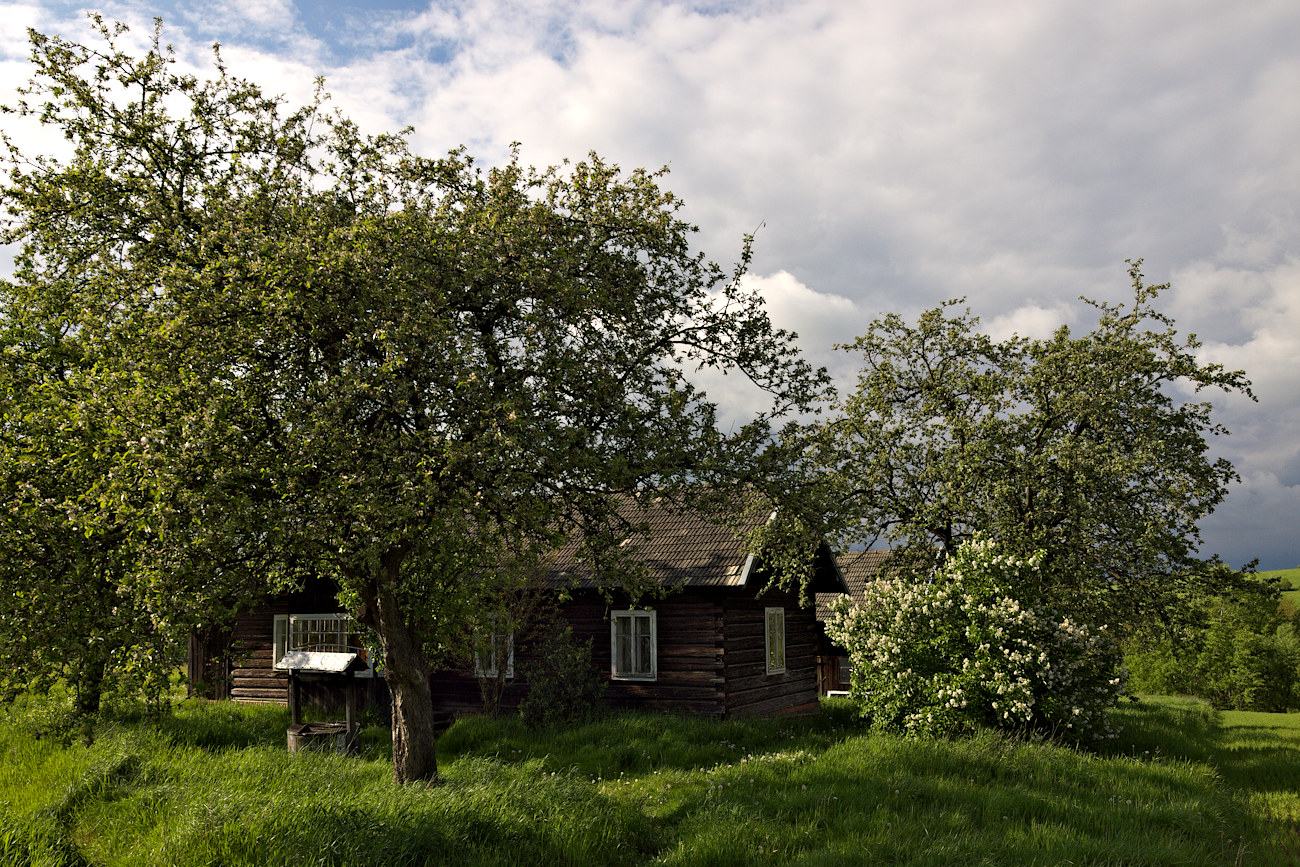 Kliknij obrazek, aby uzyskać większą wersję

Nazwa:	P5183586bp.jpg
Wyświetleń:	250
Rozmiar:	609,5 KB
ID:	174763
