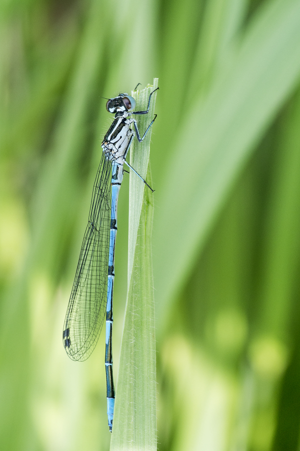 Kliknij obrazek, aby uzyskać większą wersję

Nazwa:	Y0007514.jpg
Wyświetleń:	232
Rozmiar:	409,8 KB
ID:	174766
