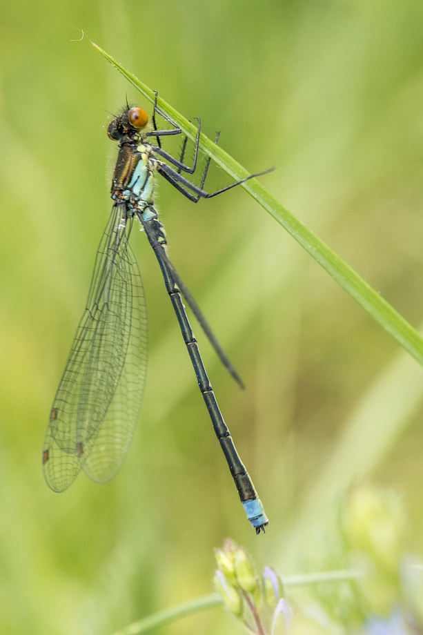 Kliknij obrazek, aby uzyskać większą wersję

Nazwa:	Y0007585.jpg
Wyświetleń:	210
Rozmiar:	415,7 KB
ID:	174767