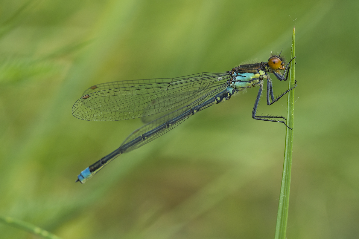 Kliknij obrazek, aby uzyskać większą wersję

Nazwa:	Y0007592.jpg
Wyświetleń:	212
Rozmiar:	810,0 KB
ID:	174768