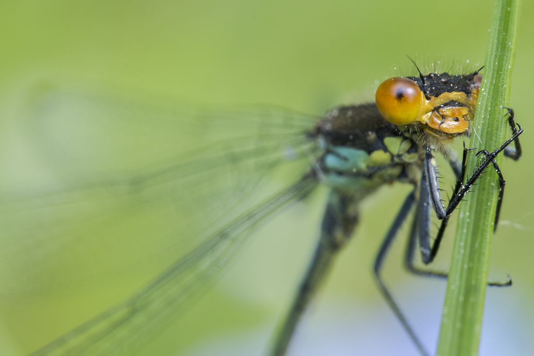 Kliknij obrazek, aby uzyskać większą wersję

Nazwa:	Y0007602.jpg
Wyświetleń:	242
Rozmiar:	705,2 KB
ID:	174769