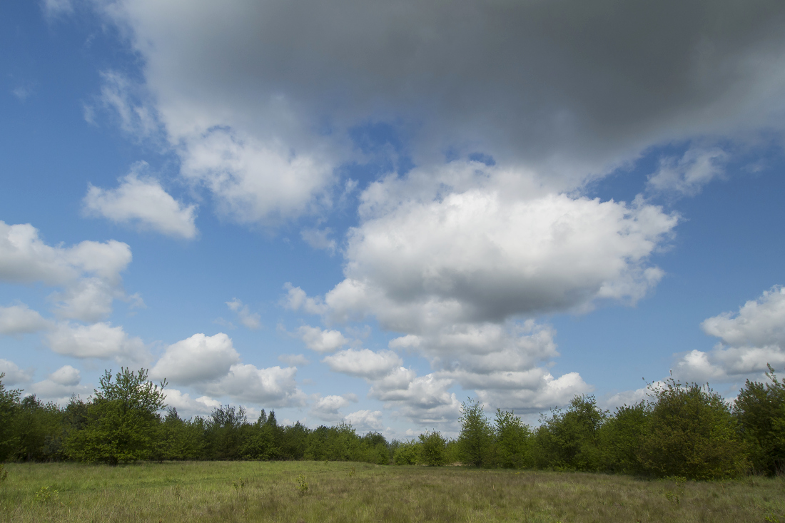 Kliknij obrazek, aby uzyskać większą wersję

Nazwa:	Y0007409.jpg
Wyświetleń:	133
Rozmiar:	419,4 KB
ID:	174770