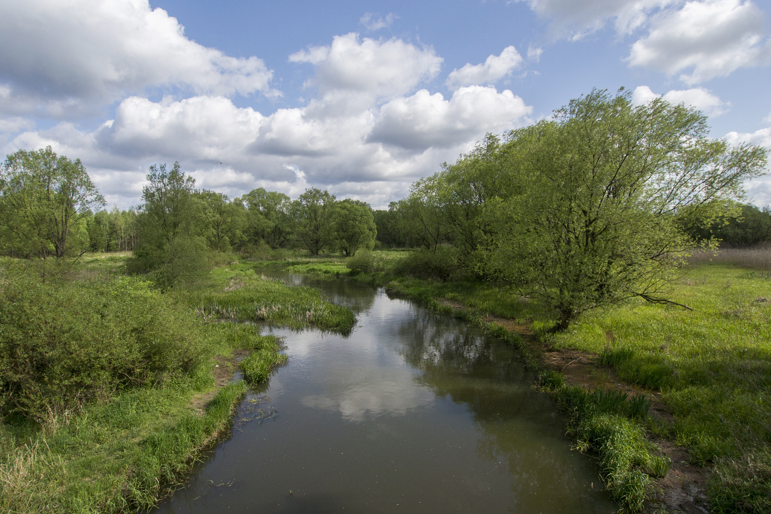 Kliknij obrazek, aby uzyskać większą wersję

Nazwa:	Y0007419.jpg
Wyświetleń:	136
Rozmiar:	643,6 KB
ID:	174771