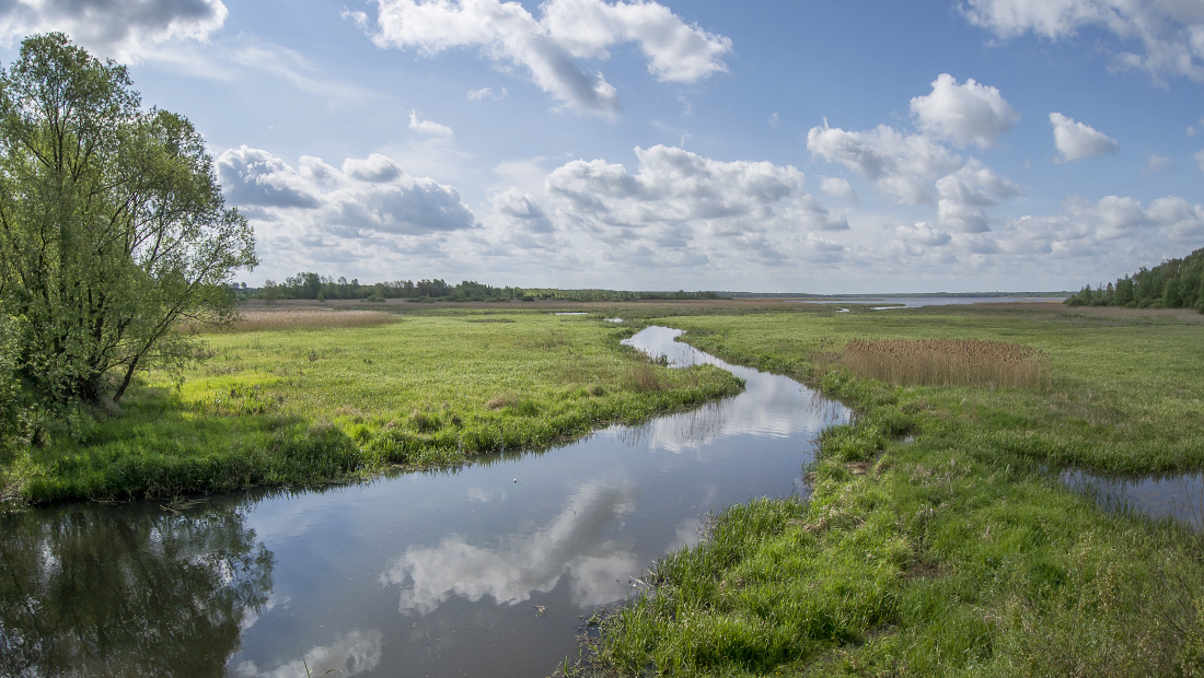 Kliknij obrazek, aby uzyskać większą wersję

Nazwa:	Y0007422_stitch.jpg
Wyświetleń:	129
Rozmiar:	616,1 KB
ID:	174772