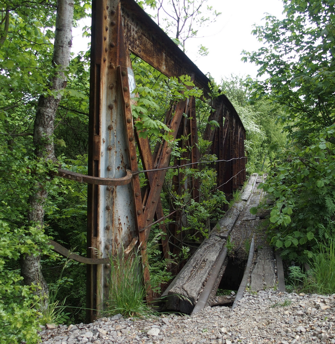 Kliknij obrazek, aby uzyskać większą wersję

Nazwa:	P5170316.JPG
Wyświetleń:	290
Rozmiar:	851,3 KB
ID:	174783