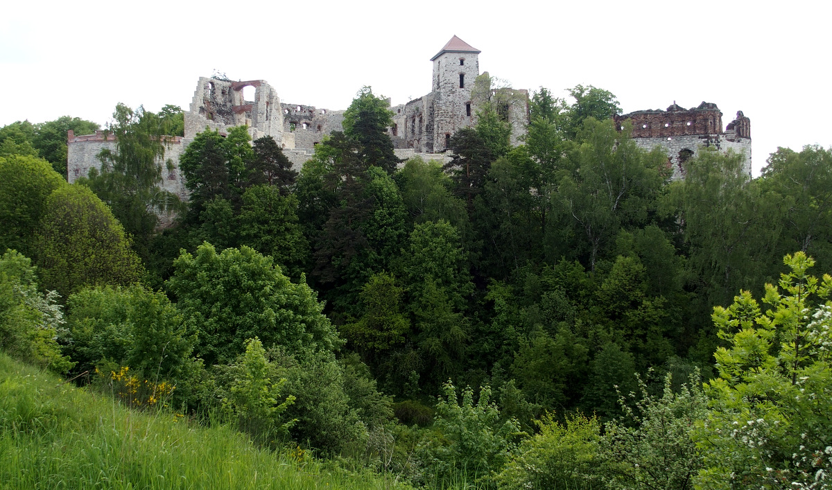 Kliknij obrazek, aby uzyskać większą wersję

Nazwa:	P5170330.JPG
Wyświetleń:	290
Rozmiar:	457,9 KB
ID:	174787