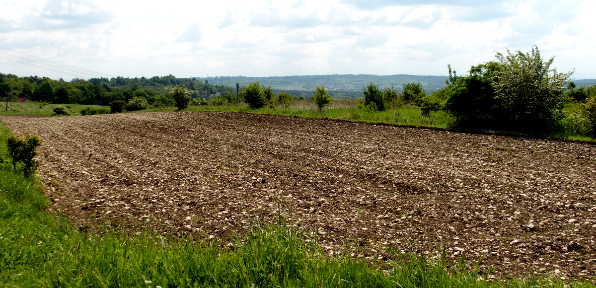 Kliknij obrazek, aby uzyskać większą wersję

Nazwa:	P5170333.JPG
Wyświetleń:	284
Rozmiar:	490,7 KB
ID:	174788