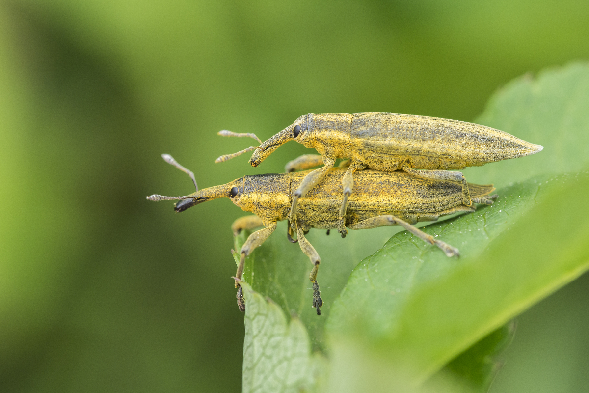 Kliknij obrazek, aby uzyskać większą wersję

Nazwa:	Y0007558.jpg
Wyświetleń:	223
Rozmiar:	790,7 KB
ID:	174804