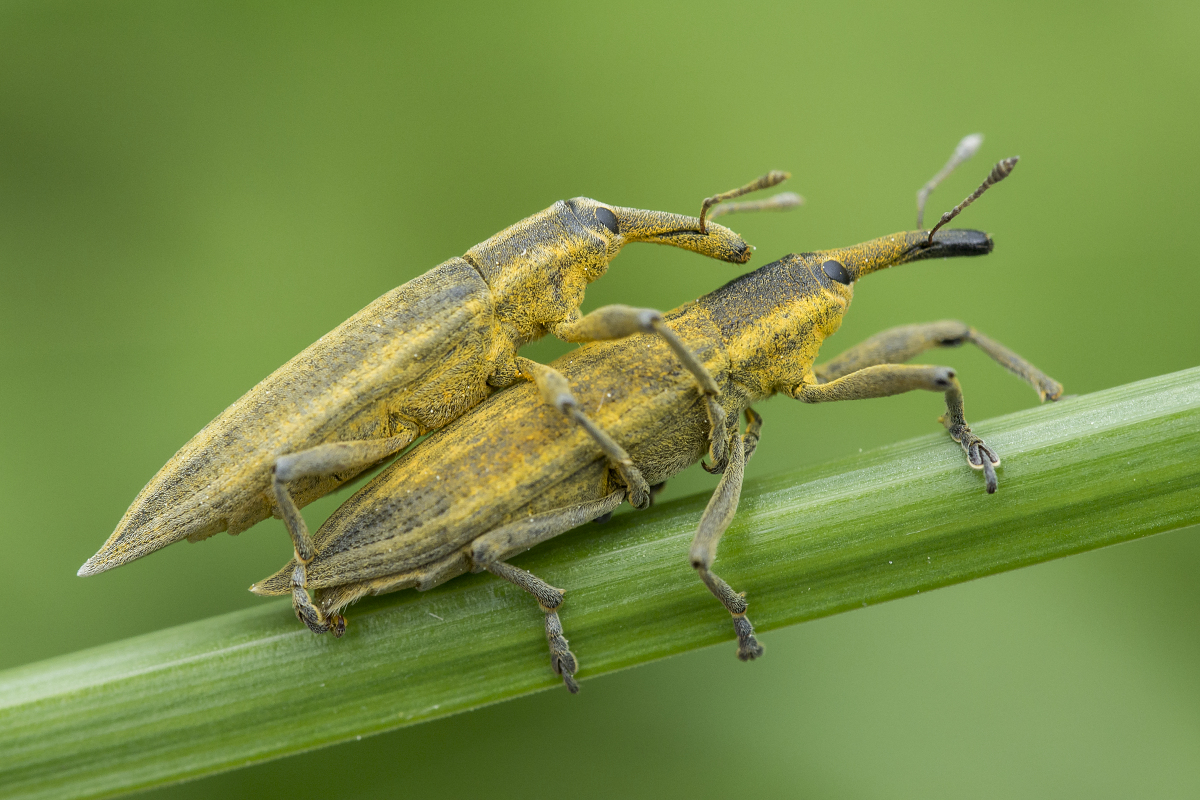 Kliknij obrazek, aby uzyskać większą wersję

Nazwa:	Y0007561.jpg
Wyświetleń:	192
Rozmiar:	806,1 KB
ID:	174805