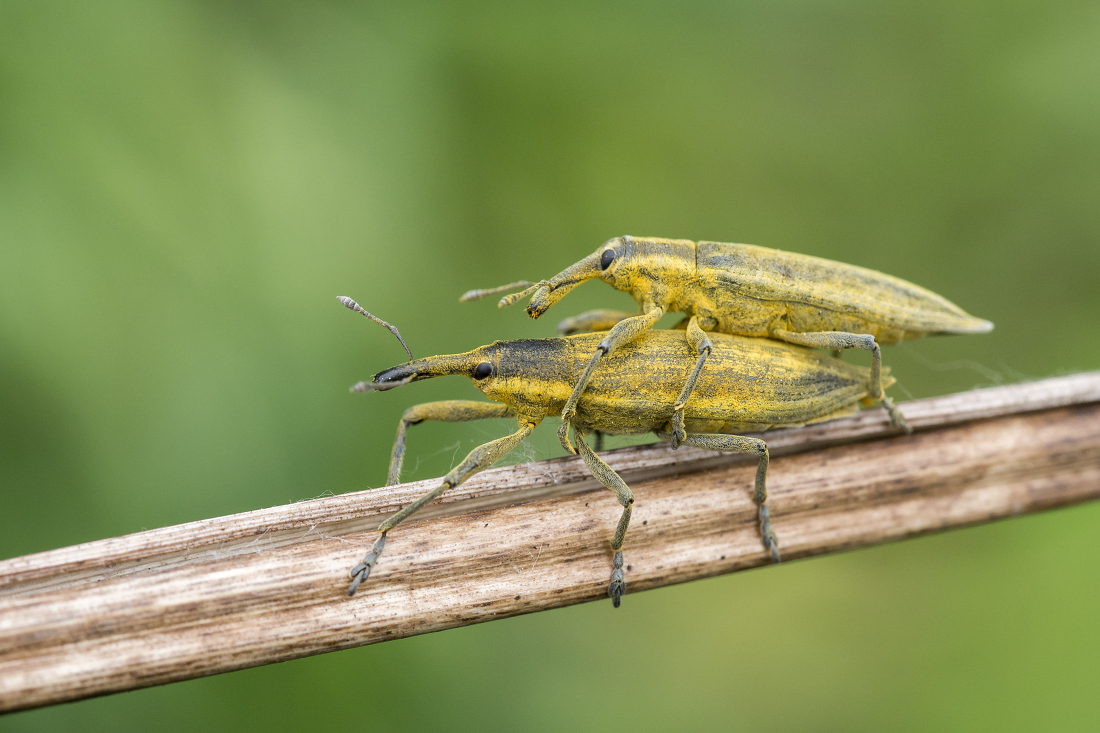 Kliknij obrazek, aby uzyskać większą wersję

Nazwa:	Y0007567.jpg
Wyświetleń:	199
Rozmiar:	624,7 KB
ID:	174806