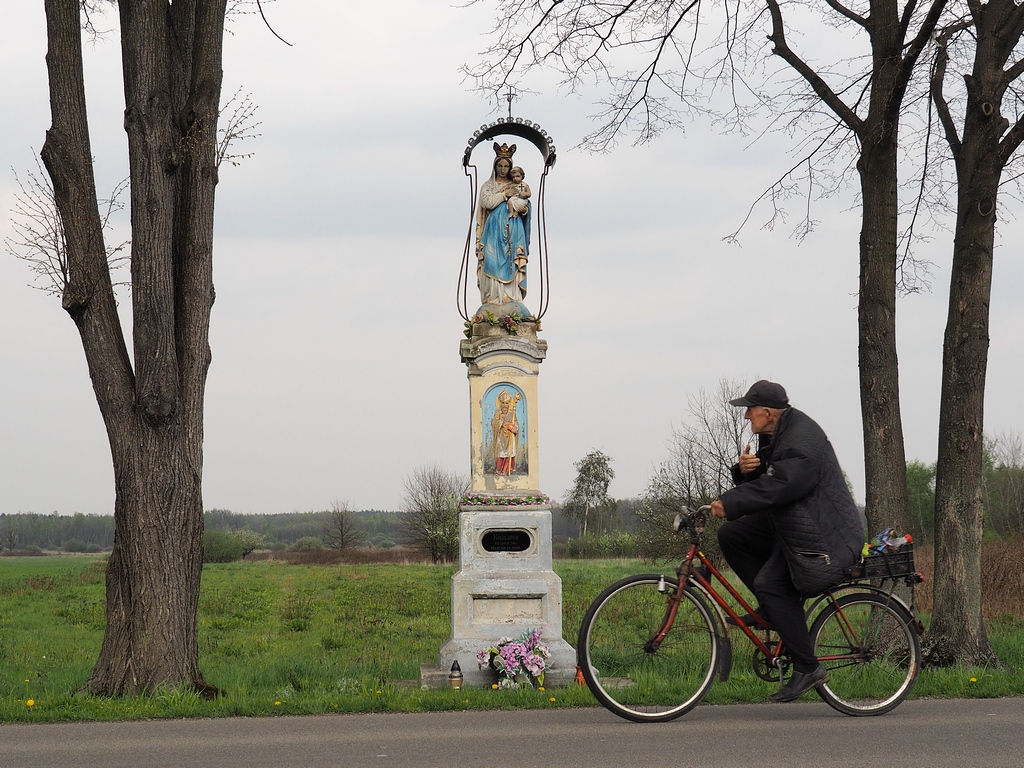Kliknij obrazek, aby uzyskać większą wersję

Nazwa:	P4190747.jpg
Wyświetleń:	1359
Rozmiar:	421,7 KB
ID:	174808