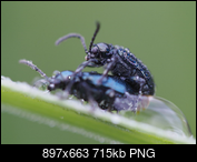 Kliknij obrazek, aby uzyskać większą wersję

Nazwa:	1 pierscien.png
Wyświetleń:	65
Rozmiar:	714,9 KB
ID:	174842