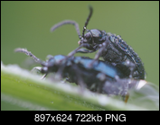 Kliknij obrazek, aby uzyskać większą wersję

Nazwa:	2 pierscienie.png
Wyświetleń:	53
Rozmiar:	722,2 KB
ID:	174843