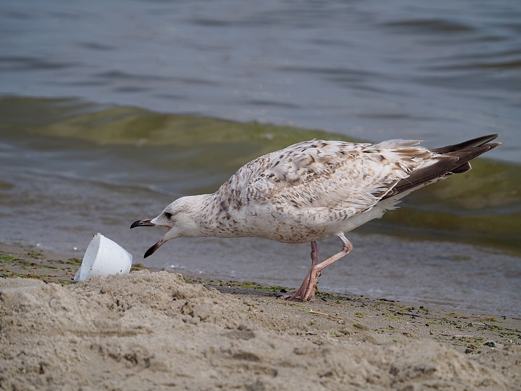 Kliknij obrazek, aby uzyskać większą wersję

Nazwa:	279.jpg
Wyświetleń:	247
Rozmiar:	576,0 KB
ID:	174945