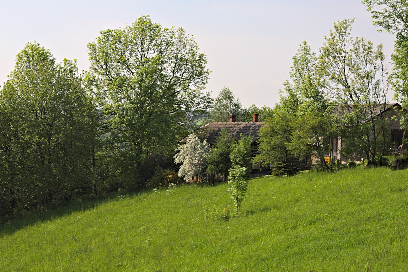 Kliknij obrazek, aby uzyskać większą wersję

Nazwa:	P5213640bp.jpg
Wyświetleń:	162
Rozmiar:	541,1 KB
ID:	174971