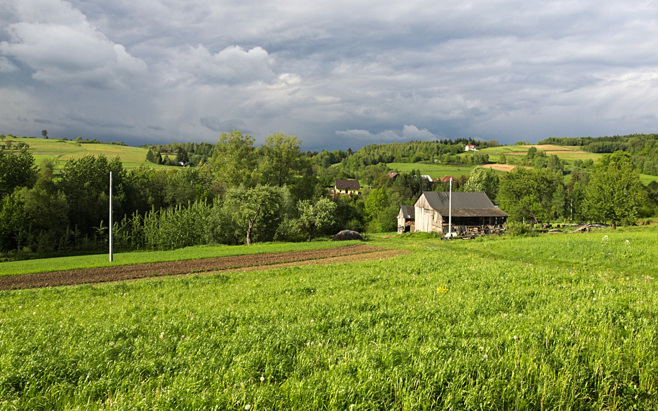 Kliknij obrazek, aby uzyskać większą wersję

Nazwa:	P5183600bp.jpg
Wyświetleń:	266
Rozmiar:	563,7 KB
ID:	174980