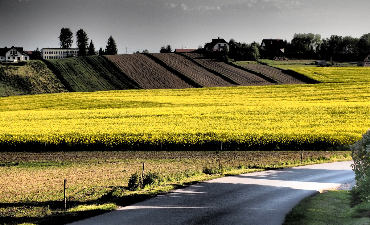 Kliknij obrazek, aby uzyskać większą wersję

Nazwa:	P5220368.JPG
Wyświetleń:	262
Rozmiar:	523,0 KB
ID:	175039