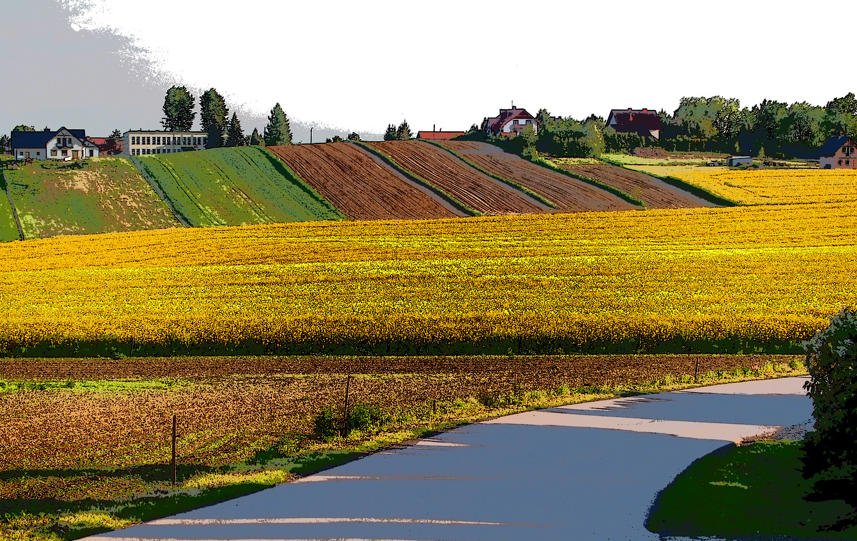 Kliknij obrazek, aby uzyskać większą wersję

Nazwa:	P5220369.JPG
Wyświetleń:	271
Rozmiar:	728,3 KB
ID:	175040
