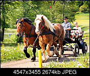 Kliknij obrazek, aby uzyskać większą wersję

Nazwa:	P5220091__A.jpg
Wyświetleń:	156
Rozmiar:	2,61 MB
ID:	175161