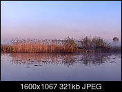 Kliknij obrazek, aby uzyskać większą wersję

Nazwa:	_MG_7238-kopia.jpg
Wyświetleń:	86
Rozmiar:	321,4 KB
ID:	175171