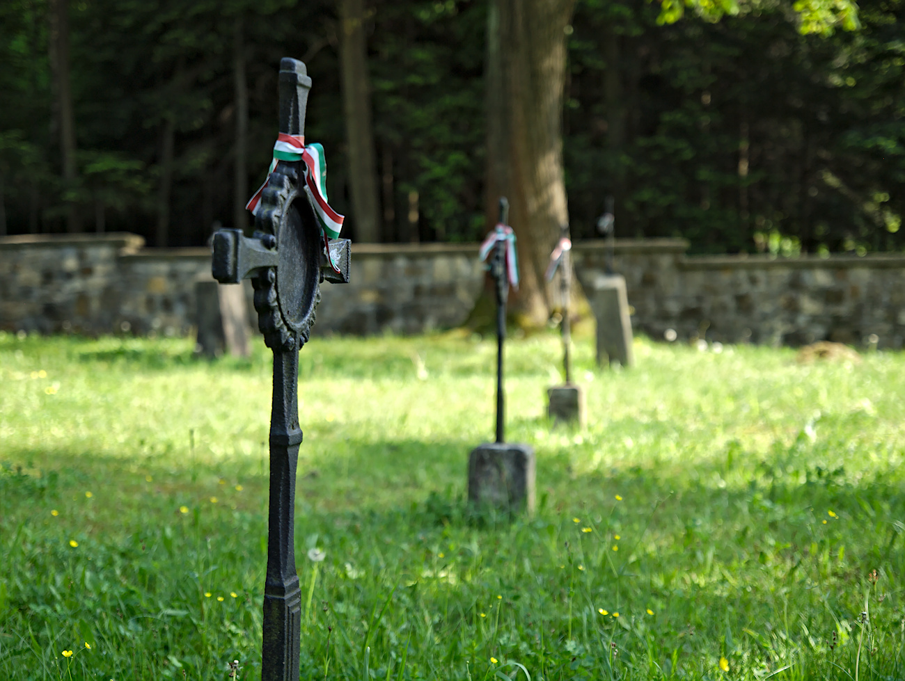 Kliknij obrazek, aby uzyskać większą wersję

Nazwa:	P5213694bp.jpg
Wyświetleń:	170
Rozmiar:	488,4 KB
ID:	175175