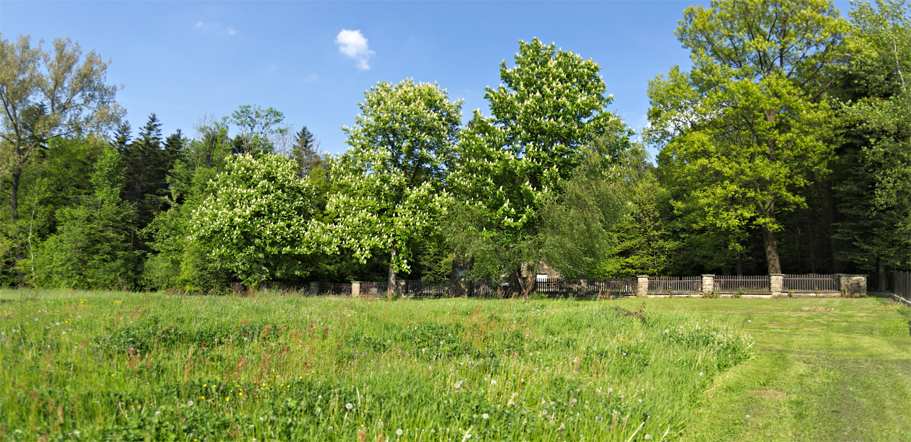 Kliknij obrazek, aby uzyskać większą wersję

Nazwa:	P5213706-09.jpg
Wyświetleń:	176
Rozmiar:	879,5 KB
ID:	175179