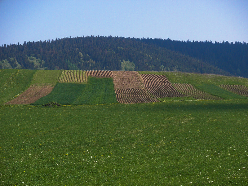 Kliknij obrazek, aby uzyskać większą wersję

Nazwa:	pole_1.png
Wyświetleń:	126
Rozmiar:	893,6 KB
ID:	175188