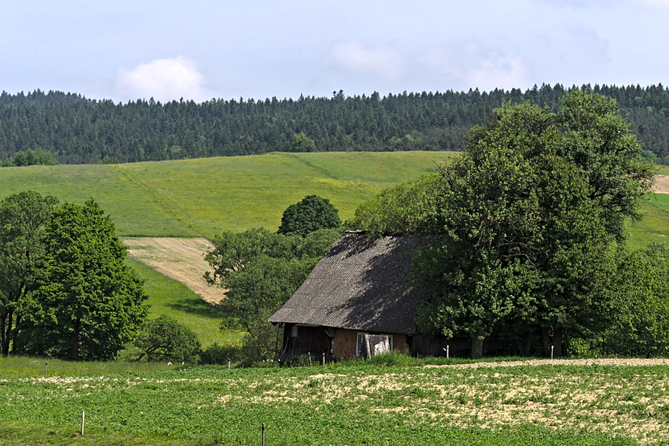 Kliknij obrazek, aby uzyskać większą wersję

Nazwa:	P5270453bp.jpg
Wyświetleń:	167
Rozmiar:	497,8 KB
ID:	175410