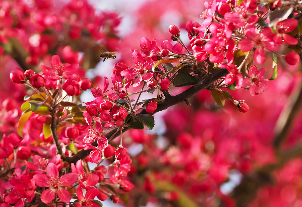 Kliknij obrazek, aby uzyskać większą wersję

Nazwa:	kw5.jpg
Wyświetleń:	135
Rozmiar:	465,4 KB
ID:	175445