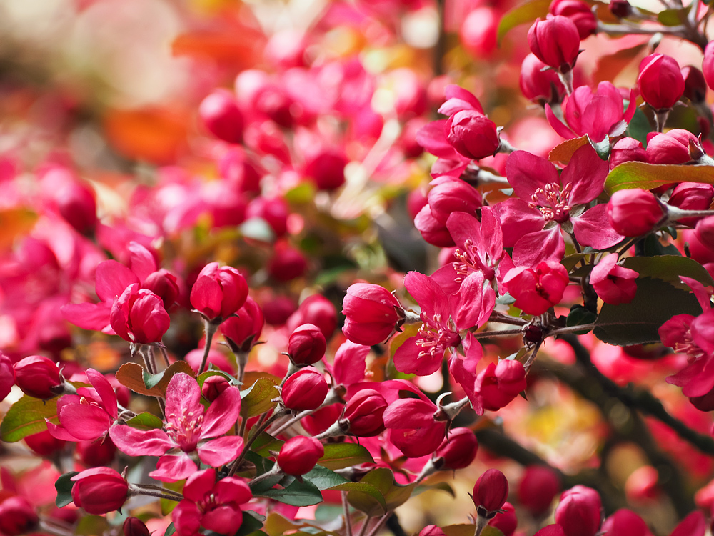 Kliknij obrazek, aby uzyskać większą wersję

Nazwa:	kw6.jpg
Wyświetleń:	133
Rozmiar:	469,6 KB
ID:	175446