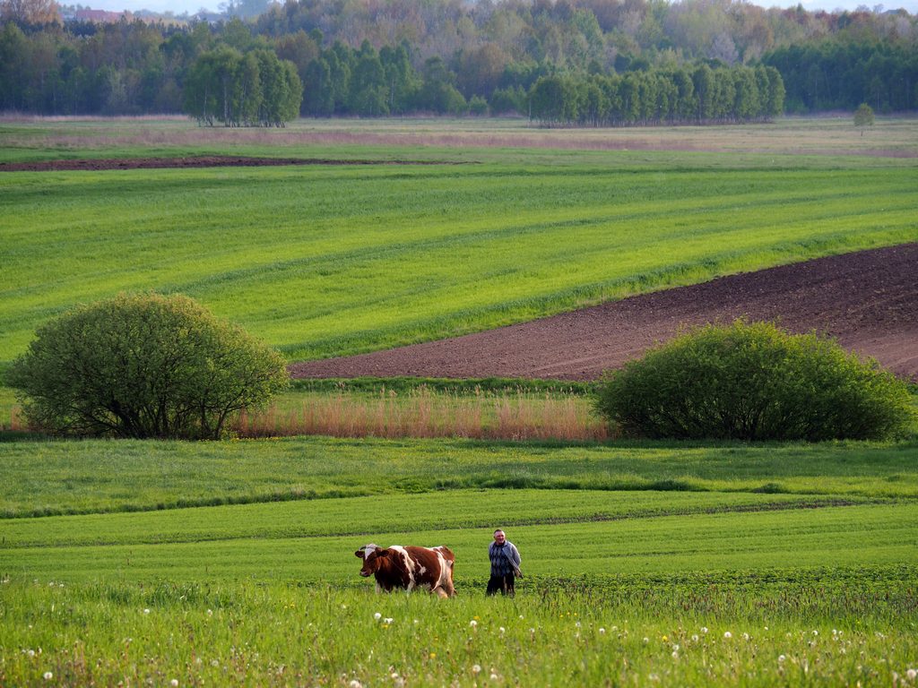 Kliknij obrazek, aby uzyskać większą wersję

Nazwa:	P5031375.JPG
Wyświetleń:	281
Rozmiar:	223,3 KB
ID:	175465