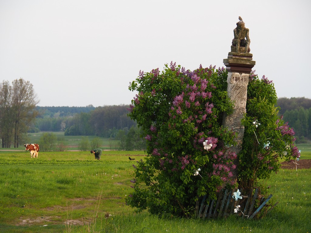 Kliknij obrazek, aby uzyskać większą wersję

Nazwa:	P5031426.JPG
Wyświetleń:	300
Rozmiar:	244,3 KB
ID:	175466