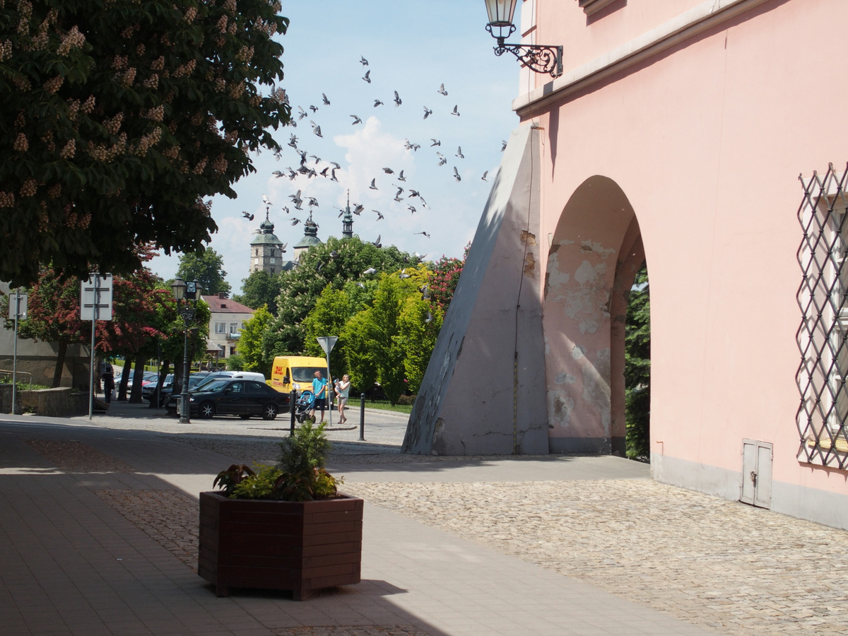 Kliknij obrazek, aby uzyskać większą wersję

Nazwa:	P5270438.JPG
Wyświetleń:	297
Rozmiar:	385,6 KB
ID:	175624