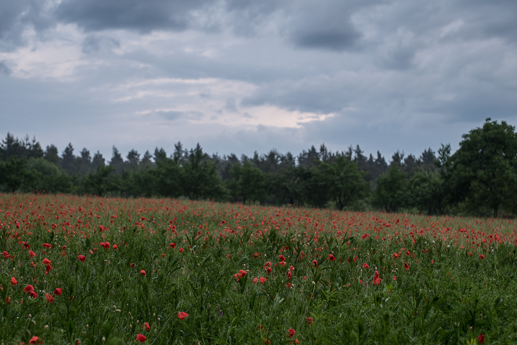 Kliknij obrazek, aby uzyskać większą wersję

Nazwa:	PBA13273_web.JPG
Wyświetleń:	94
Rozmiar:	393,9 KB
ID:	175630